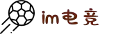 im电竞·(中国)电子竞技平台
